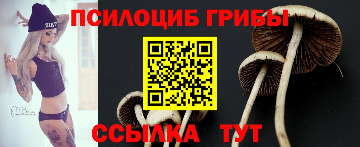 купить закладку  Вход с VPN  Нягань  Галлюциногенные грибы мицелий 